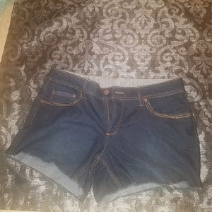 Jean Shorts (NWOT)